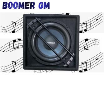 Caisson de Basses Actif SILVERTON 12V – Puissant, Compact et Idéal pour Voiture