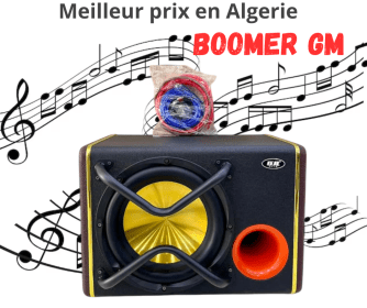 Caisson de Basse Auto Bass-Reflex Puissant — Subwoofer DJL  Grave Profond + Kit Câblage